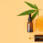 Maintain Your Health