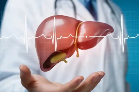 The scale showed similar weight loss across all three diets, but the liver responded very differently.
